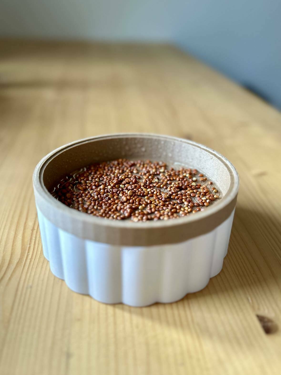 Microgreens hydroponic planter pot